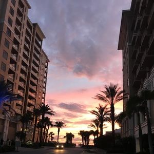 Meet your Posher, Maddi